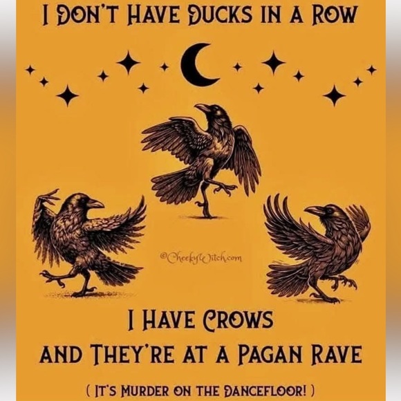 Like This Listing for LIVE SHOW notifications - Picture 8 of 10